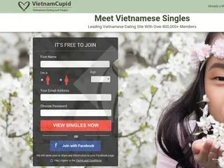 Vietnamcupid Clone